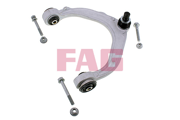 Track Control Arm - 821 0975 10 Schaeffler FAG