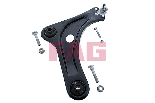 Track Control Arm - 821 1066 10 Schaeffler FAG