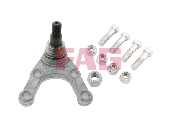 atramos/vairo trauklė - 825 0029 10 Schaeffler FAG