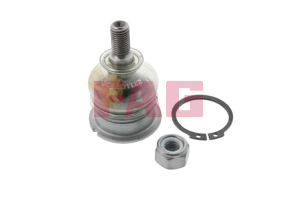 Giunto di supporto / guida - 825 0038 10 Schaeffler FAG