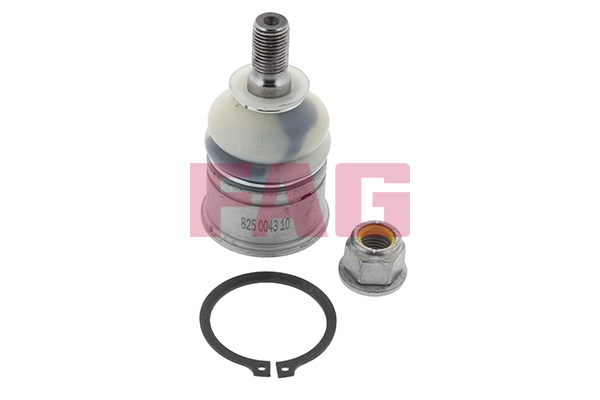 Giunto di supporto / guida - 825 0043 10 Schaeffler FAG