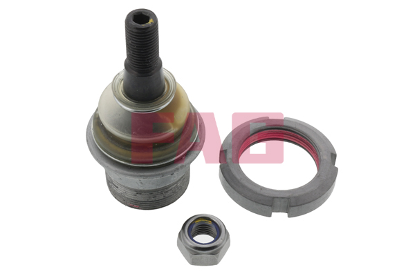 Ball Joint - 825 0079 10 Schaeffler FAG