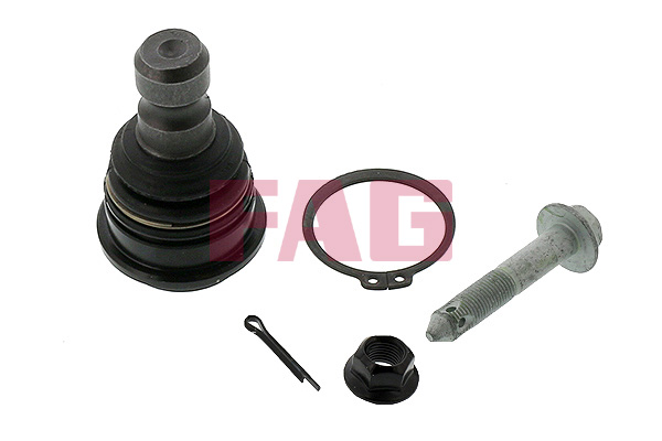 Ball Joint - 825 0081 10 Schaeffler FAG