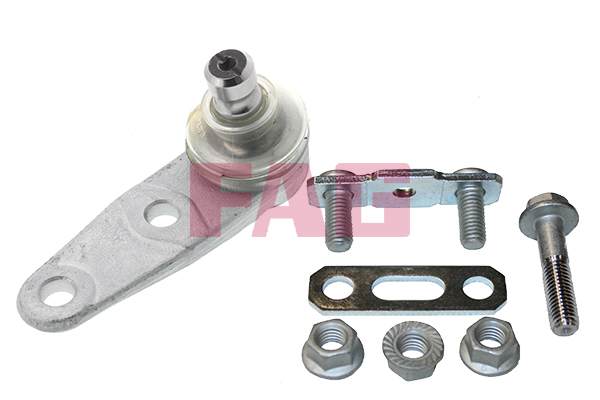 atramos/vairo trauklė - 825 0135 10 Schaeffler FAG
