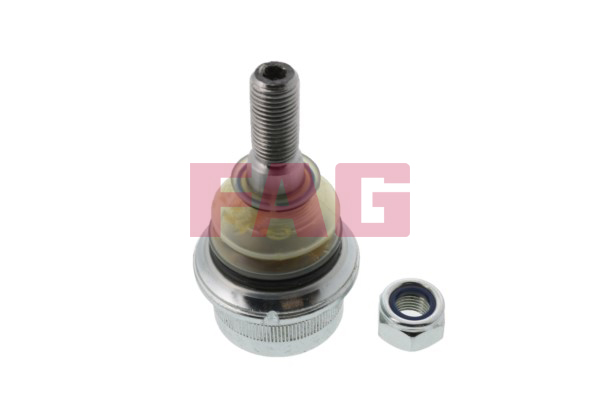 atramos/vairo trauklė - 825 0167 10 Schaeffler FAG
