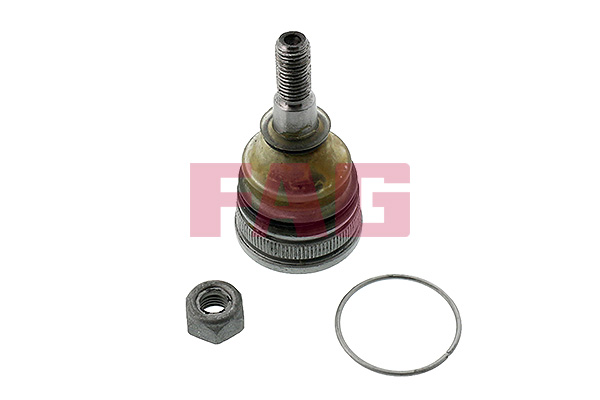 Ball Joint - 825 0179 10 Schaeffler FAG