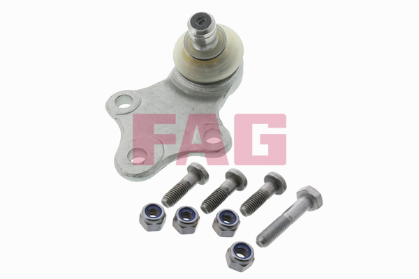 atramos/vairo trauklė - 825 0189 10 Schaeffler FAG