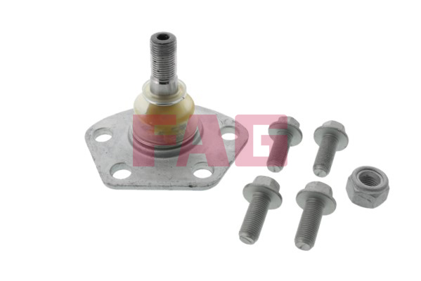 Giunto di supporto / guida - 825 0190 10 Schaeffler FAG