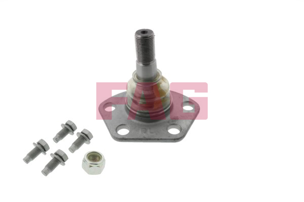 Giunto di supporto / guida - 825 0191 10 Schaeffler FAG