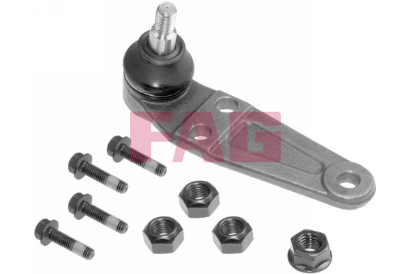 atramos/vairo trauklė - 825 0215 10 Schaeffler FAG