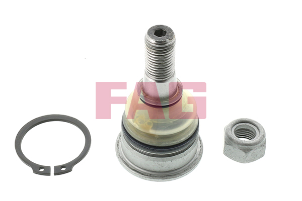 Ball Joint - 825 0229 10 Schaeffler FAG