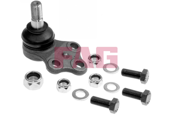 Ball Joint - 825 0244 10 Schaeffler FAG
