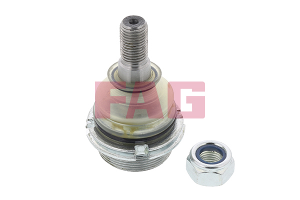 Giunto di supporto / guida - 825 0256 10 Schaeffler FAG