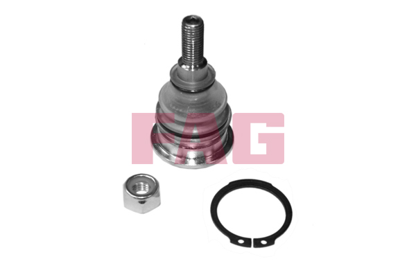 Ball Joint - 825 0257 10 Schaeffler FAG