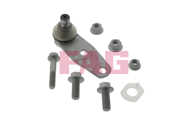 Ball Joint - 825 0258 10 Schaeffler FAG