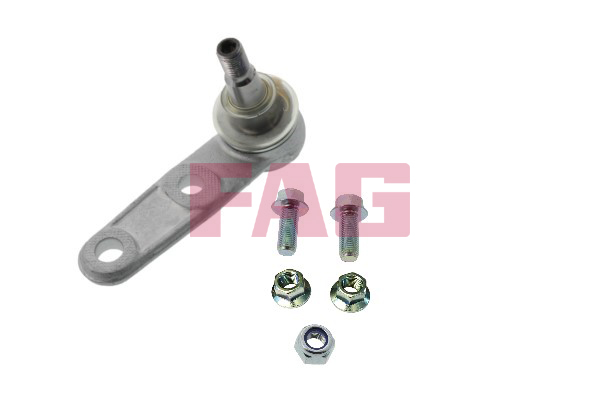 atramos/vairo trauklė - 825 0307 10 Schaeffler FAG