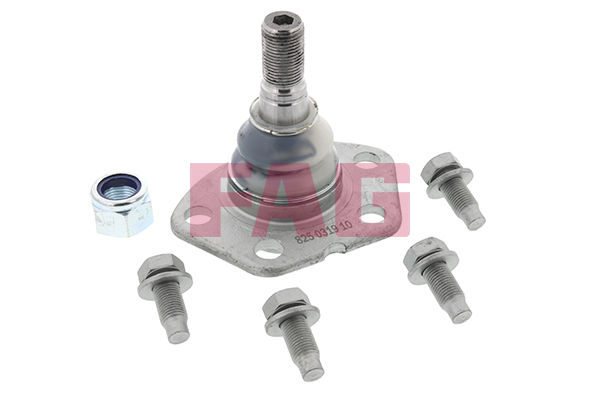 Giunto di supporto / guida - 825 0319 10 Schaeffler FAG