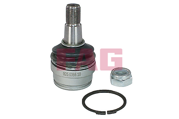 Ball Joint - 825 0366 10 Schaeffler FAG