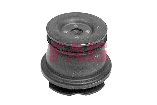 stebulės laikiklio įvorė - 829 0489 10 Schaeffler FAG