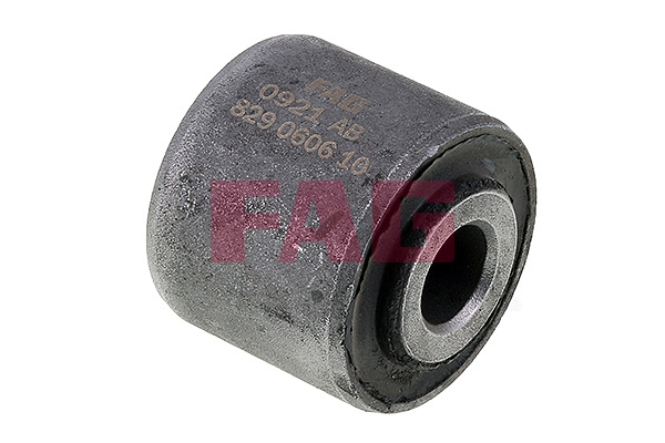 Supporto, Braccio oscillante - 829 0606 10 Schaeffler FAG