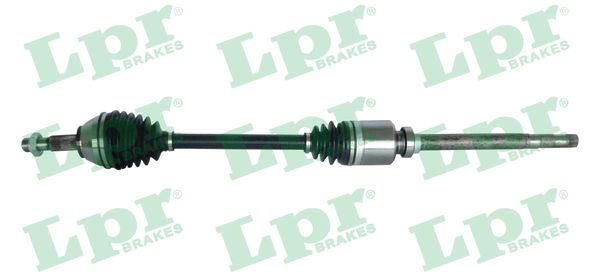 Drive Shaft - DS20096 LPR