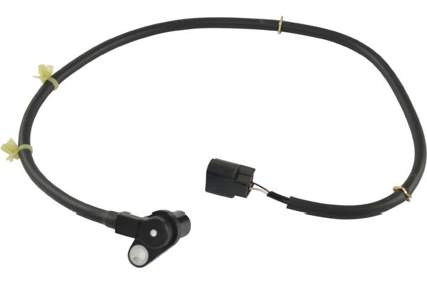 Sensor, wheel speed - BAS-5543 KAVO PARTS