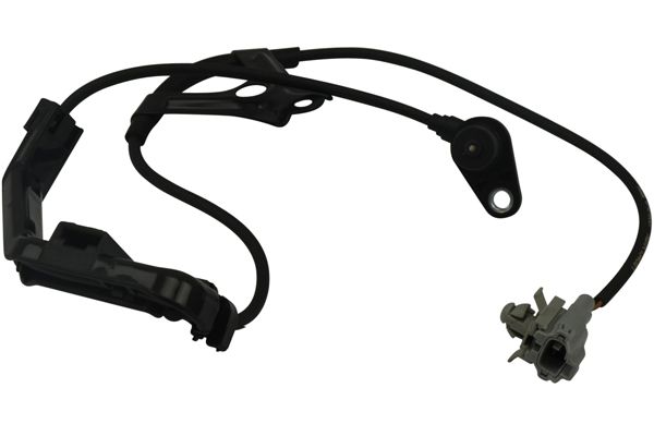 Sensor, wheel speed - BAS-9007 KAVO PARTS