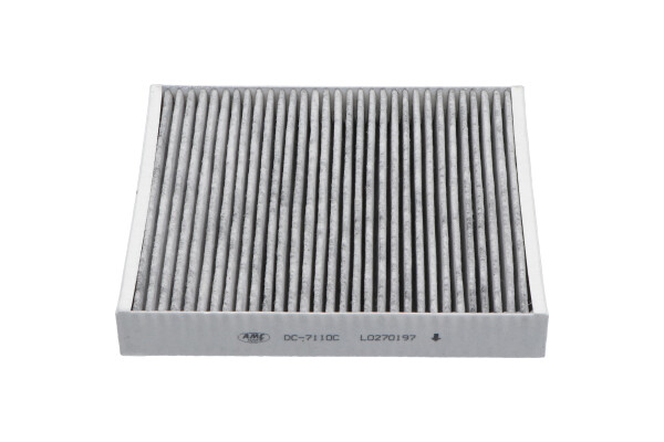 Filter, interior air - DC-7110C KAVO PARTS