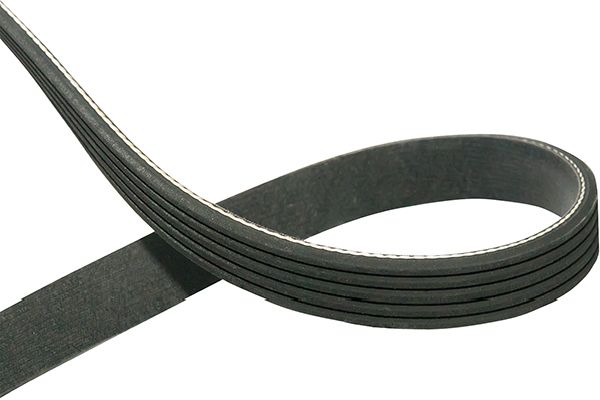 Cinghia Poly-V - DMV-5526 KAVO PARTS