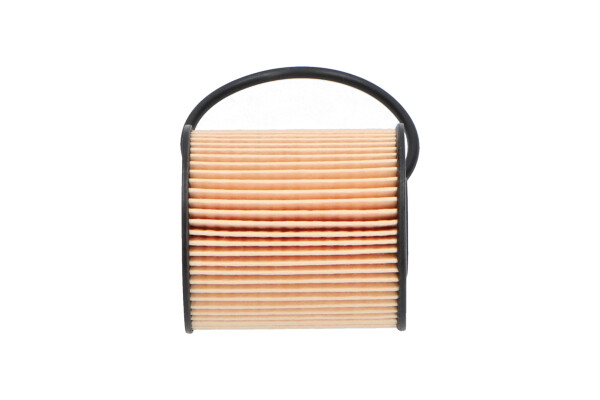 Oil Filter - MO-447 KAVO PARTS