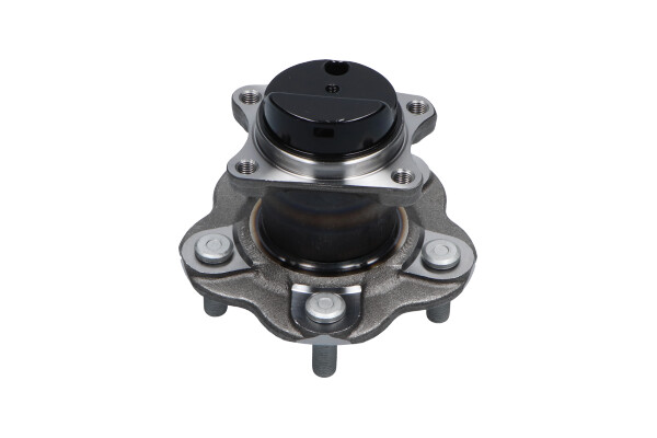 rato guolio komplektas - WBH-10006 KAVO PARTS