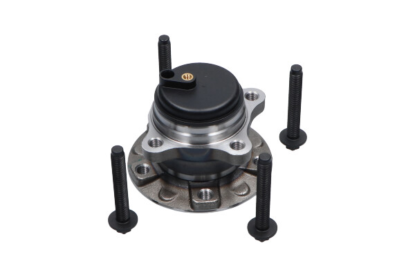 rato guolio komplektas - WBK-10079 KAVO PARTS