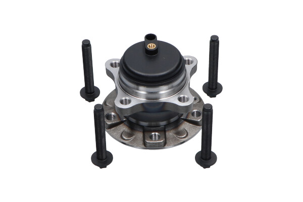 rato guolio komplektas - WBK-10079 KAVO PARTS