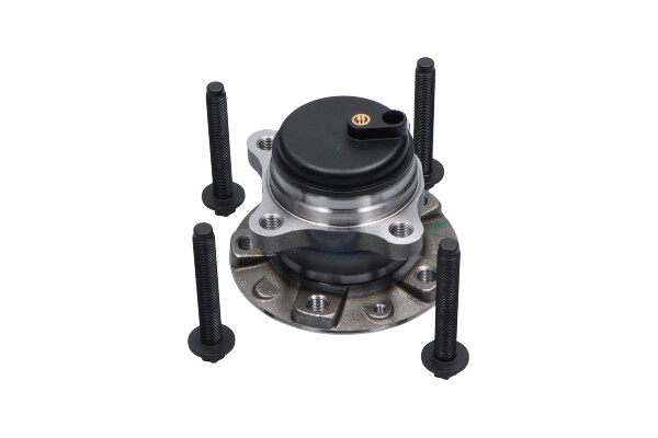 rato guolio komplektas - WBK-10079 KAVO PARTS