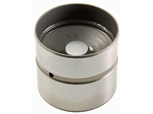 svirtis/kumštelis - 420 0255 10 Schaeffler INA