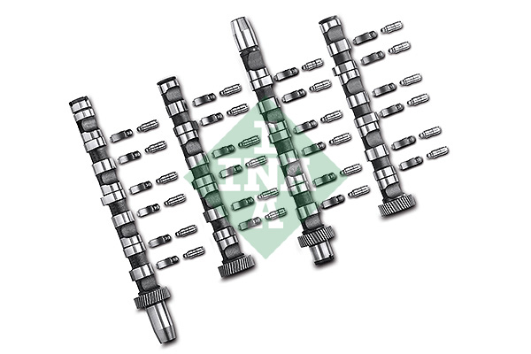 Camshaft Kit - 428 0038 30 Schaeffler INA