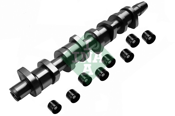 Kit albero a camme - 428 0039 30 Schaeffler INA