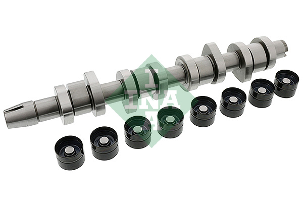 Kit albero a camme - 428 0042 30 Schaeffler INA