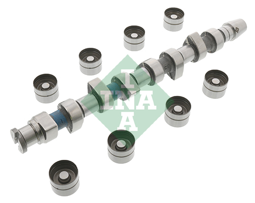 Camshaft Kit - 428 0048 30 Schaeffler INA
