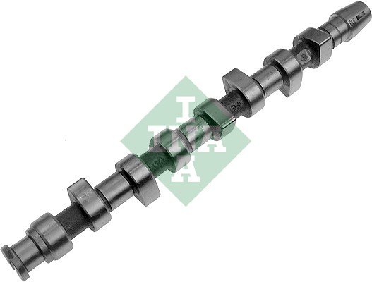 Albero a camme - 428 0062 10 Schaeffler INA