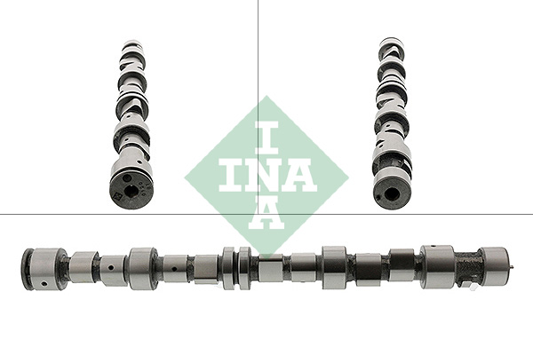 Albero a camme - 428 0096 10 Schaeffler INA