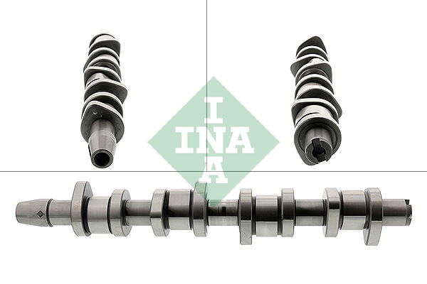 Albero a camme - 428 0130 10 Schaeffler INA