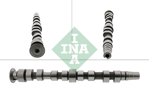 skirstomasis velenas - 428 0169 10 Schaeffler INA