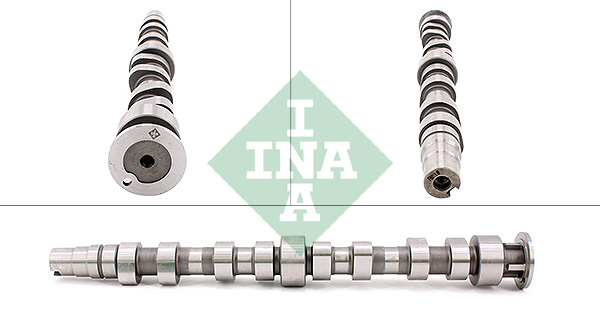 skirstomasis velenas - 428 0172 10 Schaeffler INA