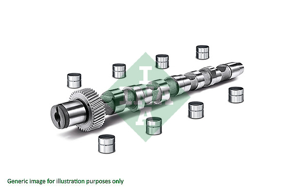 Camshaft Kit - 428 0035 30 Schaeffler INA