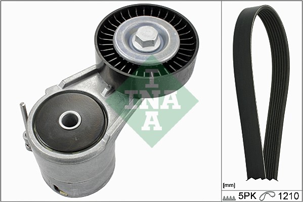 Kit Cinghie Poly-V - 529 0008 10 Schaeffler INA