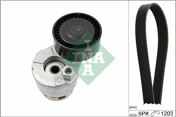 V-Ribbed Belt Set - 529 0009 10 Schaeffler INA
