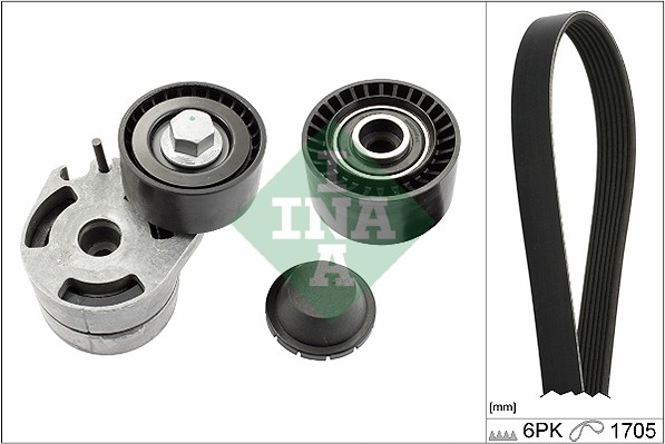 Kit Cinghie Poly-V - 529 0012 10 Schaeffler INA