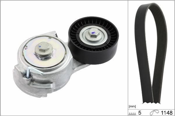 Kit Cinghie Poly-V - 529 0013 10 Schaeffler INA