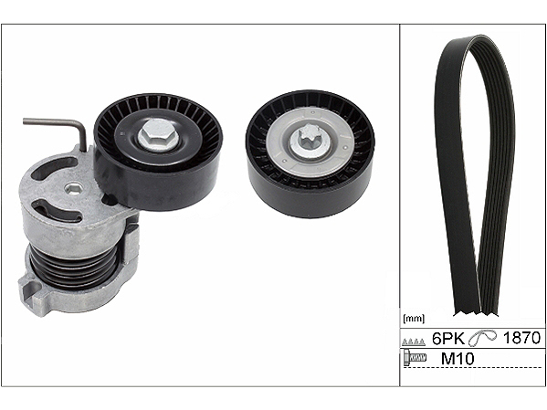 V-Ribbed Belt Set - 529 0044 10 Schaeffler INA
